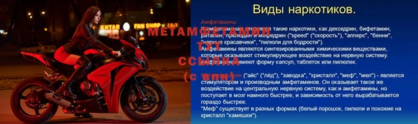 шишки Переславль-Залесский