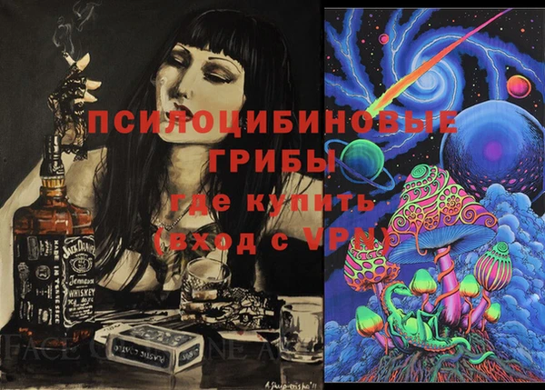 гашик Пересвет