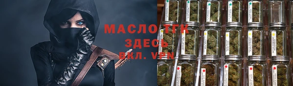 гашик Пересвет