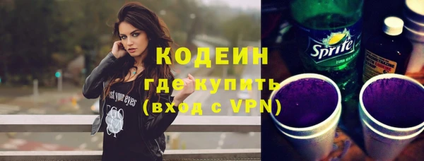 спиды Вяземский
