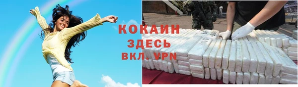 гашик Пересвет