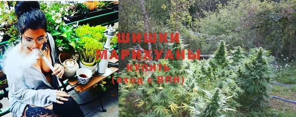 гашик Пересвет