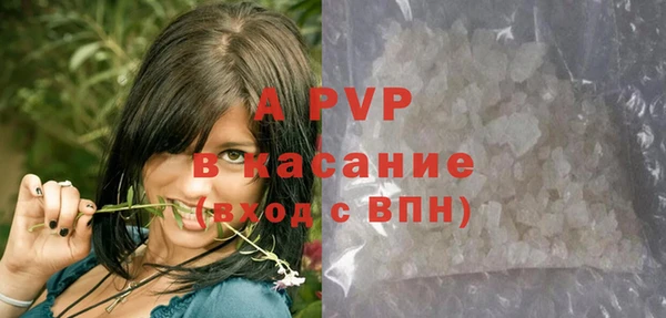 шишки Переславль-Залесский