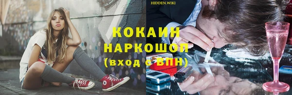шишки Переславль-Залесский