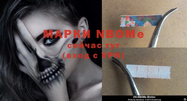 гашик Пересвет