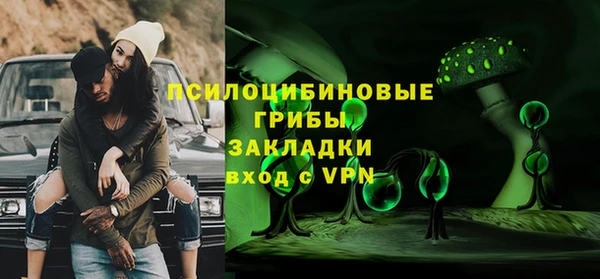 шишки Переславль-Залесский