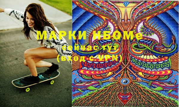 шишки Переславль-Залесский